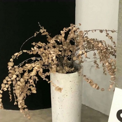 Furry插画氛围营造干货兽圈社群